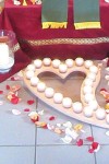 behrens festlich sarg web