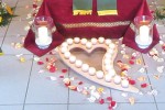 behrens festlich sarg web