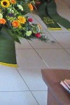 behrens festlich sarg web