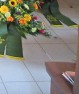 behrens festlich sarg web